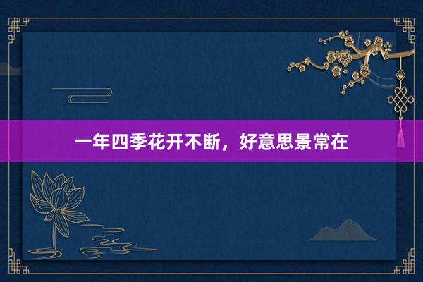 一年四季花开不断，好意思景常在