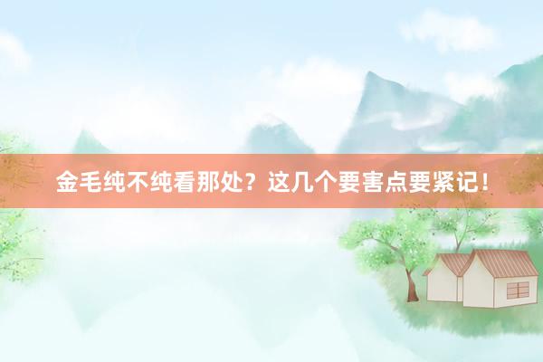 金毛纯不纯看那处？这几个要害点要紧记！