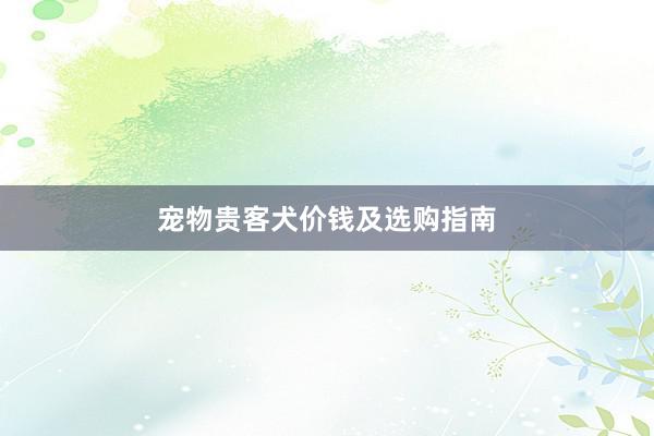 宠物贵客犬价钱及选购指南