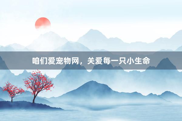 咱们爱宠物网，关爱每一只小生命