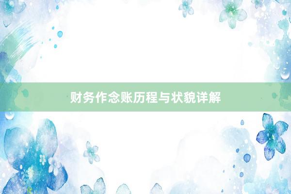 财务作念账历程与状貌详解